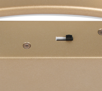 Plafondlamp Darvin Gold