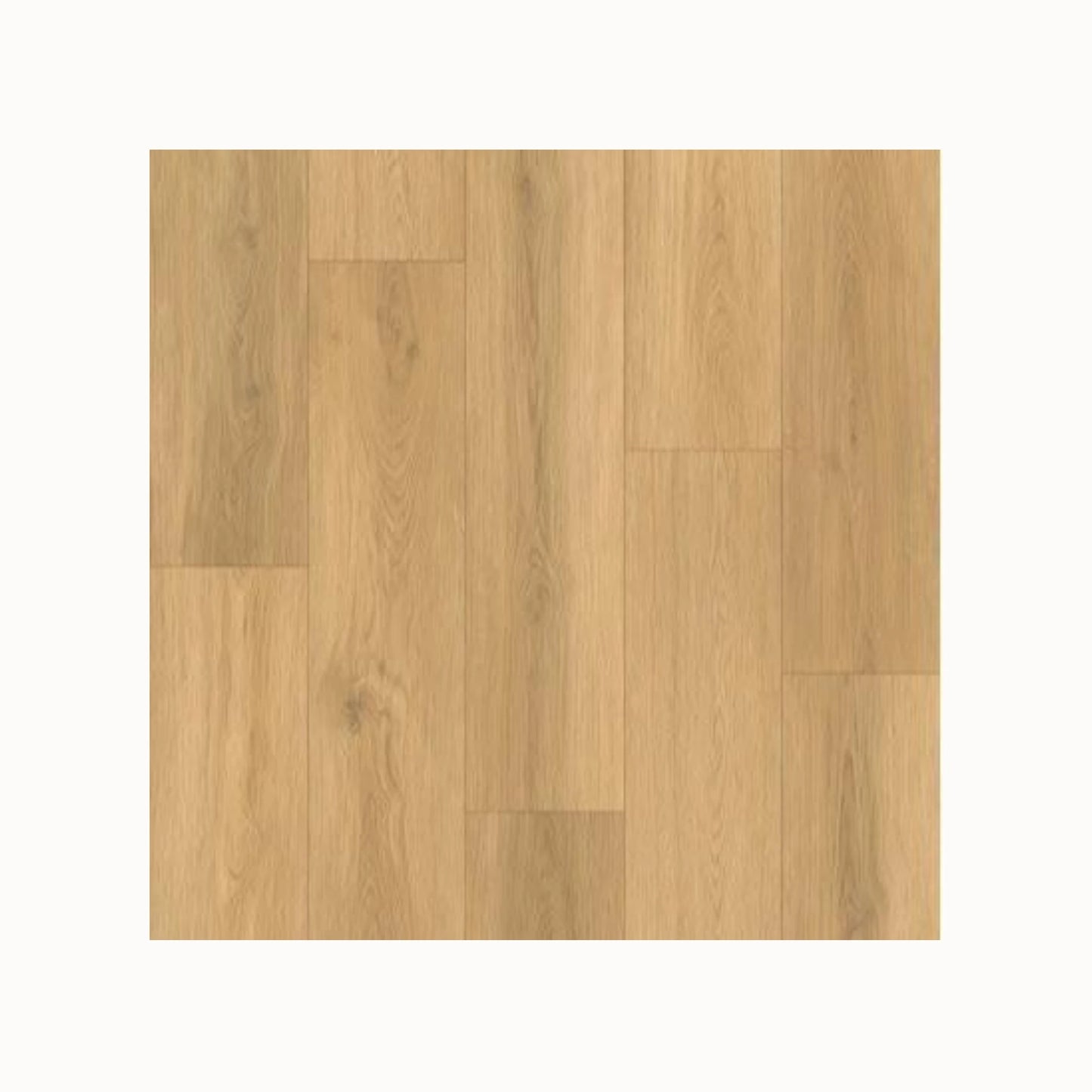 Gelasta Artline Register (Extra Mat) - Natural