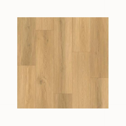 Gelasta Artline Register (Extra Mat) - Natural