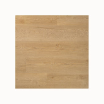 compare product PVC dryback riante plank boterkoek UM
