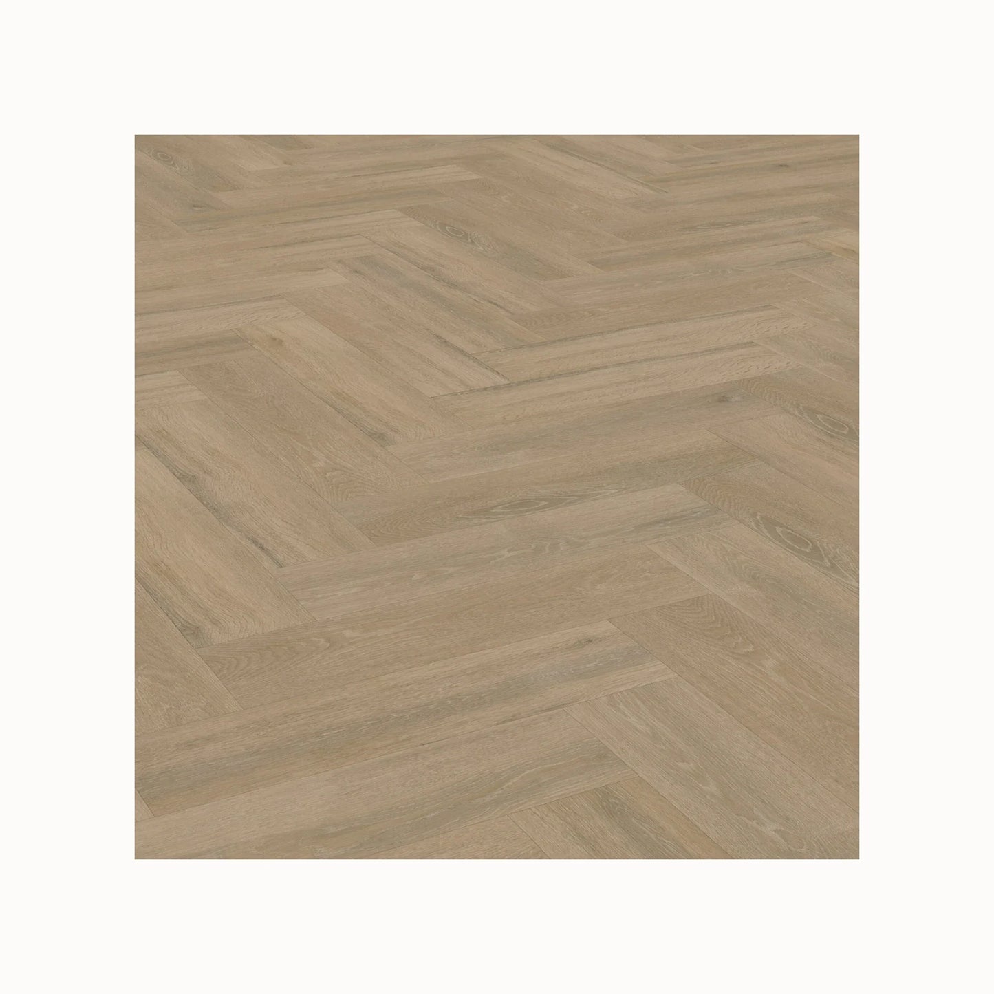 Sample Vivafloors Visgraat Plak – Natuurlijk Eiken