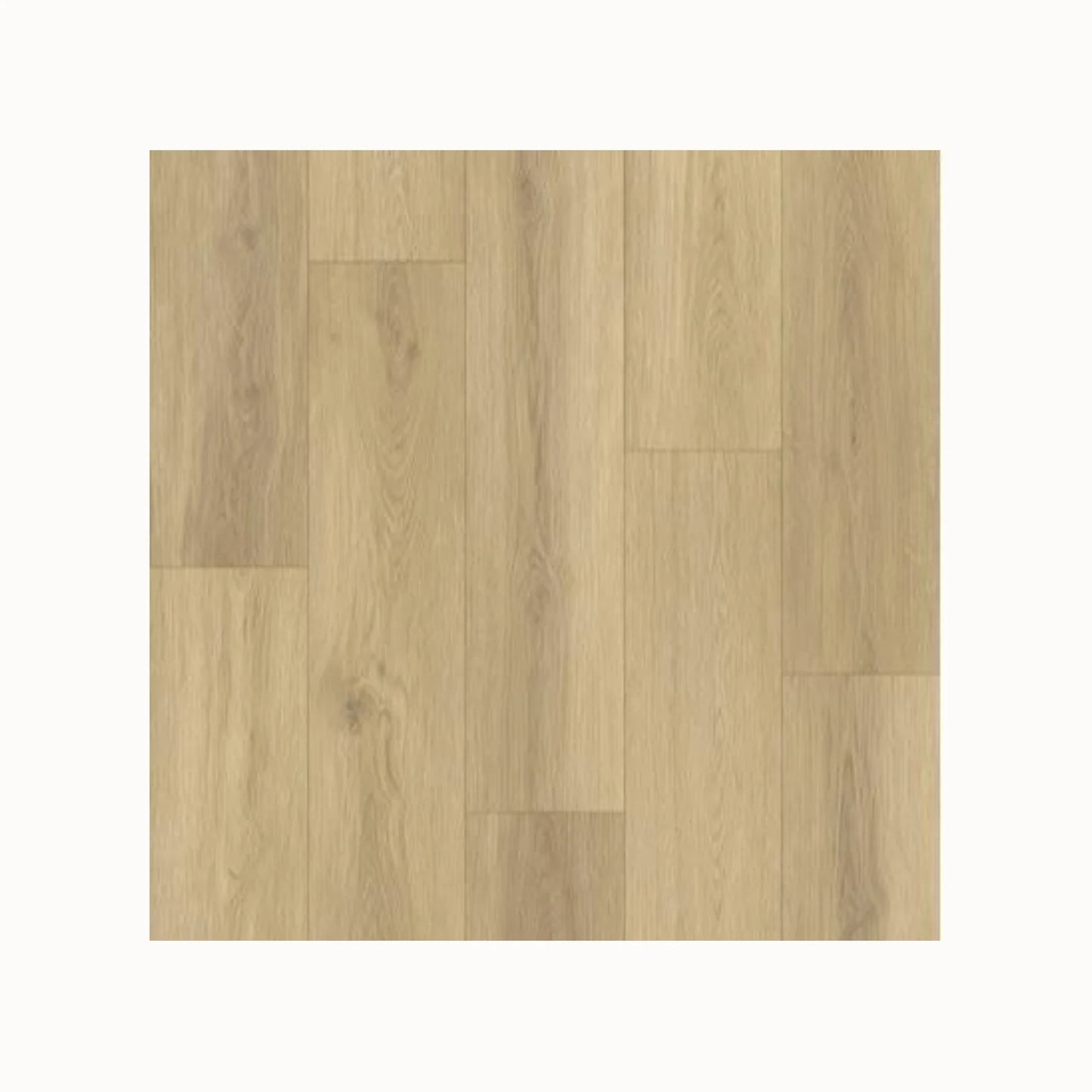 Sample Gelasta Artline Register (Extra Mat) - Beige