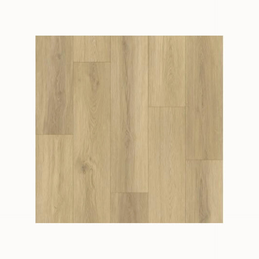 Sample Gelasta Artline Register (Extra Mat) - Beige