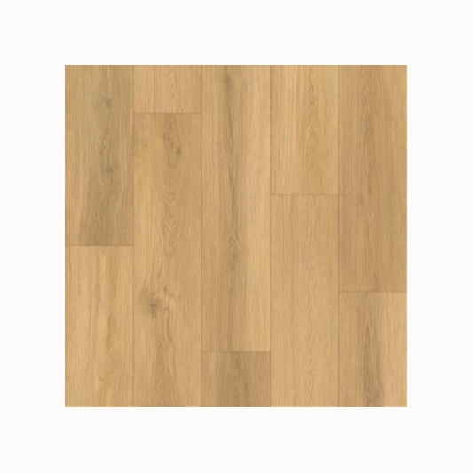 Sample Gelasta Artline Register (Extra Mat) - Natural