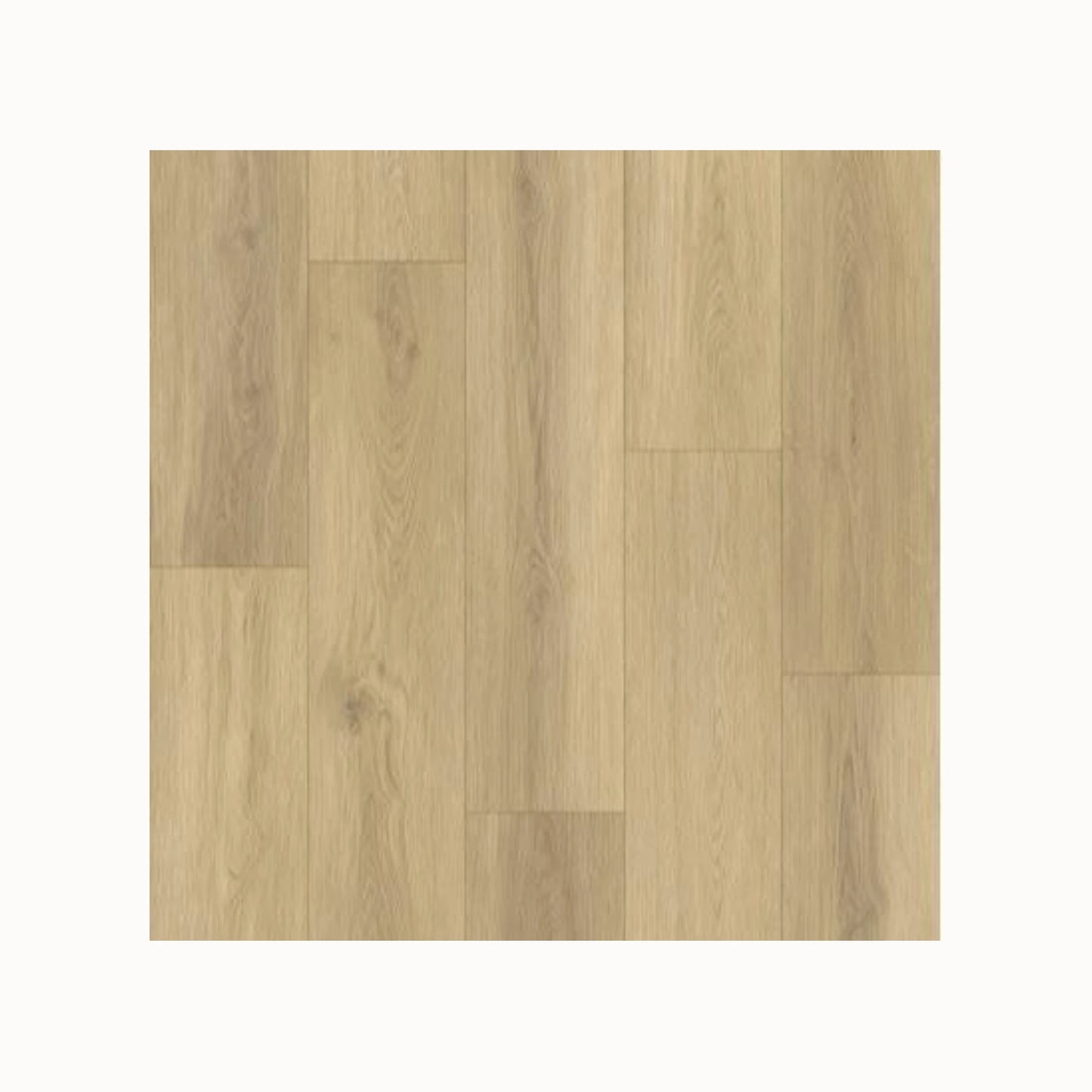 Gelasta Artline Register (Extra Mat) - Beige