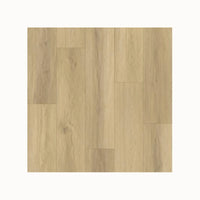 Gelasta Artline Register (Extra Mat) - Beige