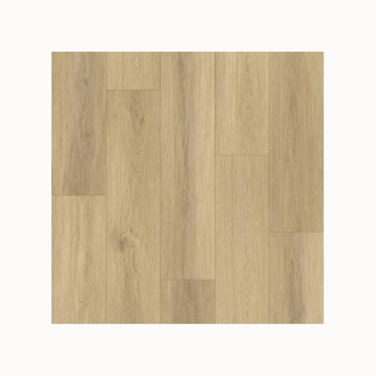 Gelasta Artline Register (Extra Mat) - Beige