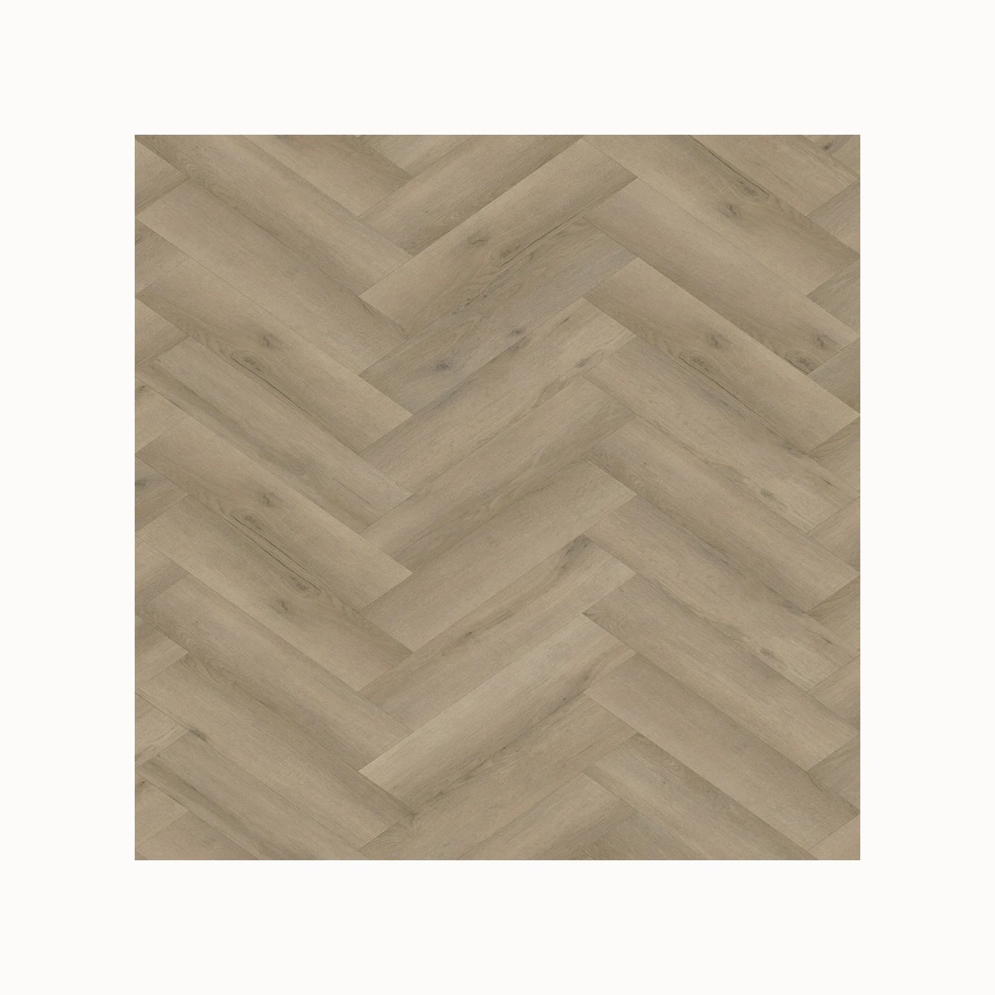Sample Vivafloors Visgraat Plak – Licht Vergrijsd Eiken