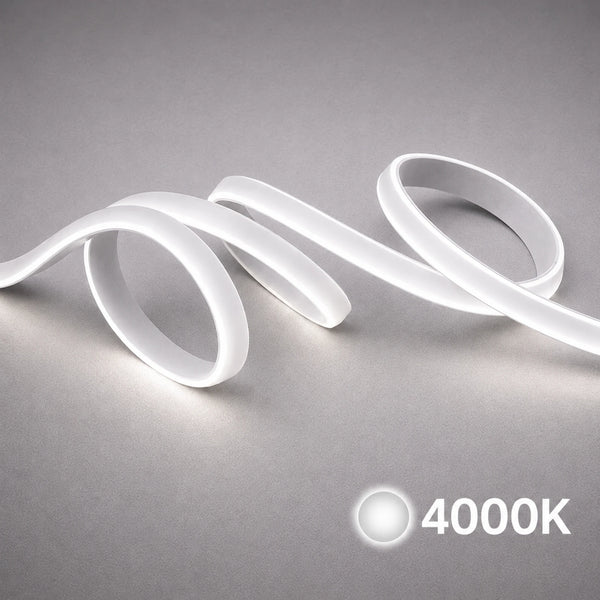 LED Strips